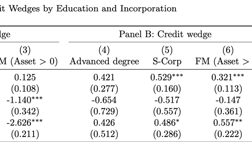 Capital Misallocation at the Intersection of Race and Gender: Evidence from Small Businesses (Job Market Paper)